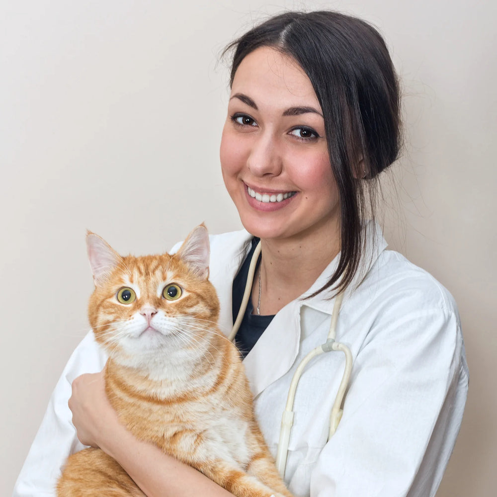 Dr. Karen Mitchell, MD