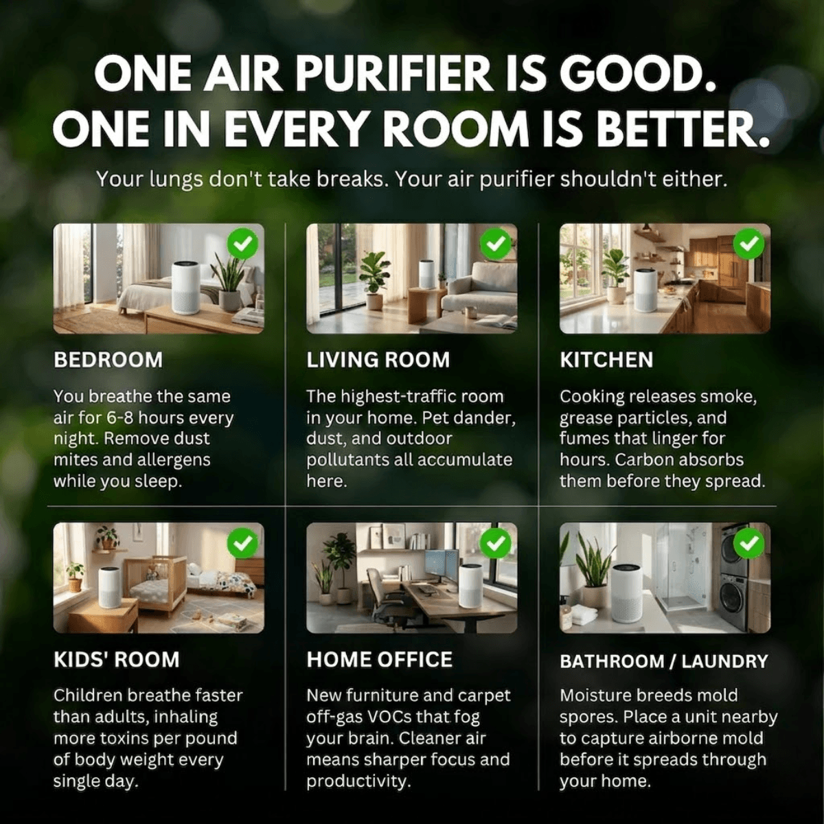 Palpaws Aroma™ Air Purifier