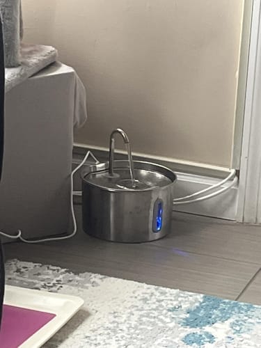 Customer photo