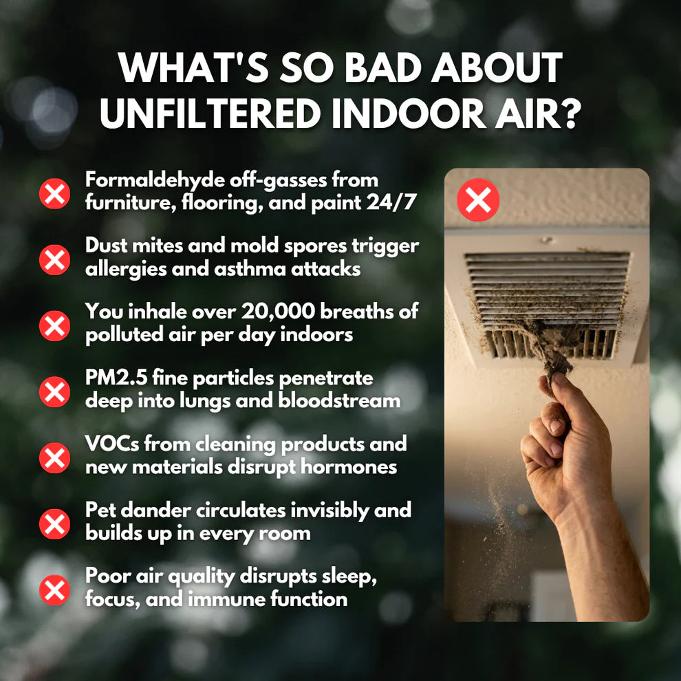 Palpaws Aroma™ Air Purifier
