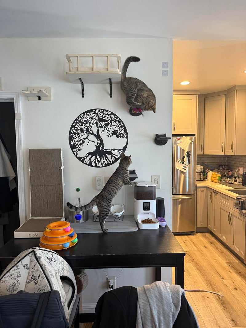Customer photo