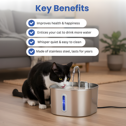 PalPaws™ Stainless Steel Water Fountain