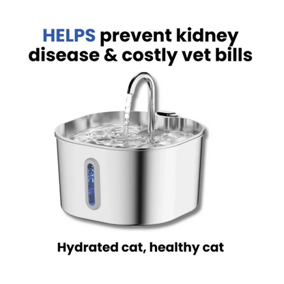 PalPaws™ Stainless Steel Water Fountain