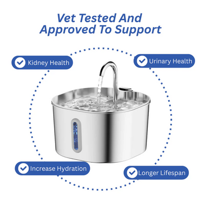 PalPaws™ Stainless Steel Water Fountain