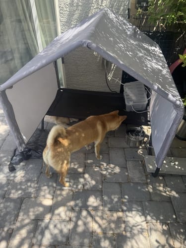 Customer photo