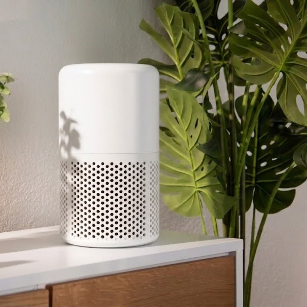 Palpaws Aroma™ Air Purifier