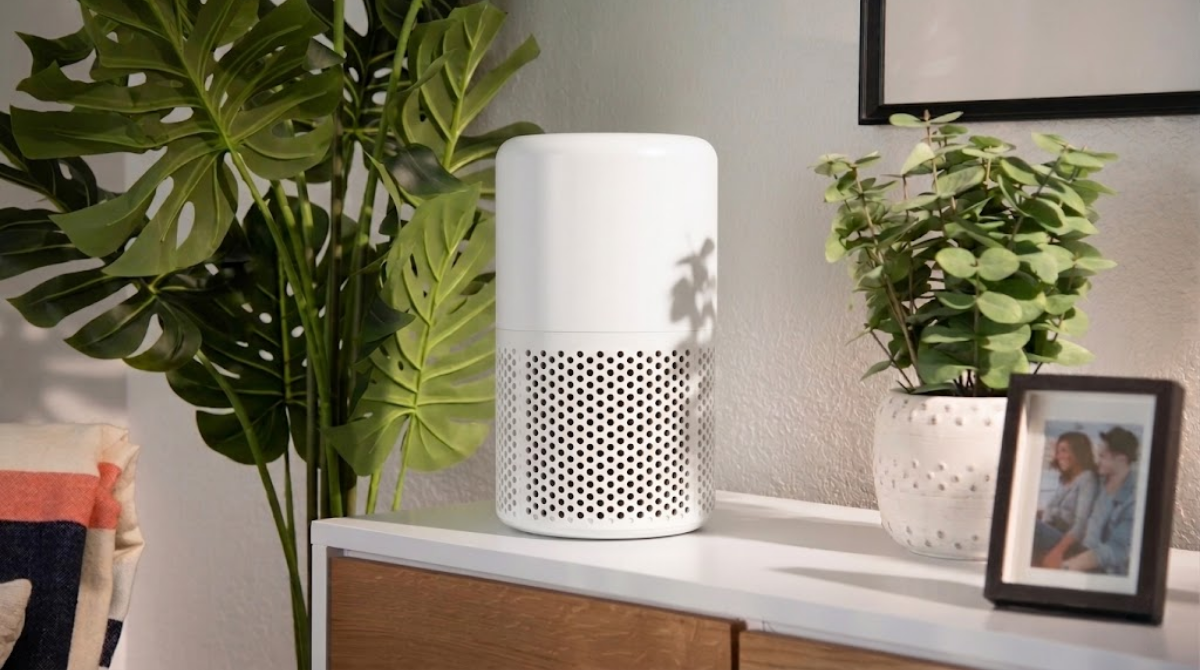Palpaws Aroma™ Purifier